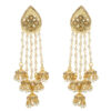 Long Golden Color Drop Earring
