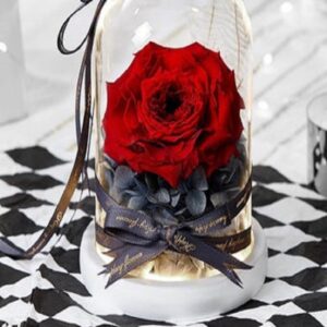 Forever Dazzling Roses