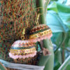 Traditional Pearl Jhumka Earrings - Pink Red