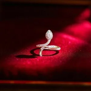 Snake Design Anti Tarnish Ring