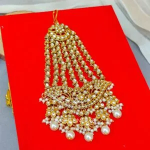 Vanisha Kundan Passa Tikka